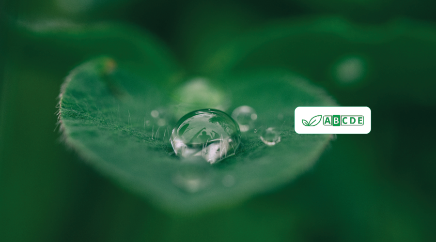 Ecovamed_Vygon 