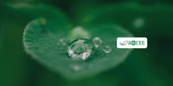 Ecovamed_Vygon 