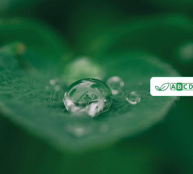 Ecovamed_Vygon 
