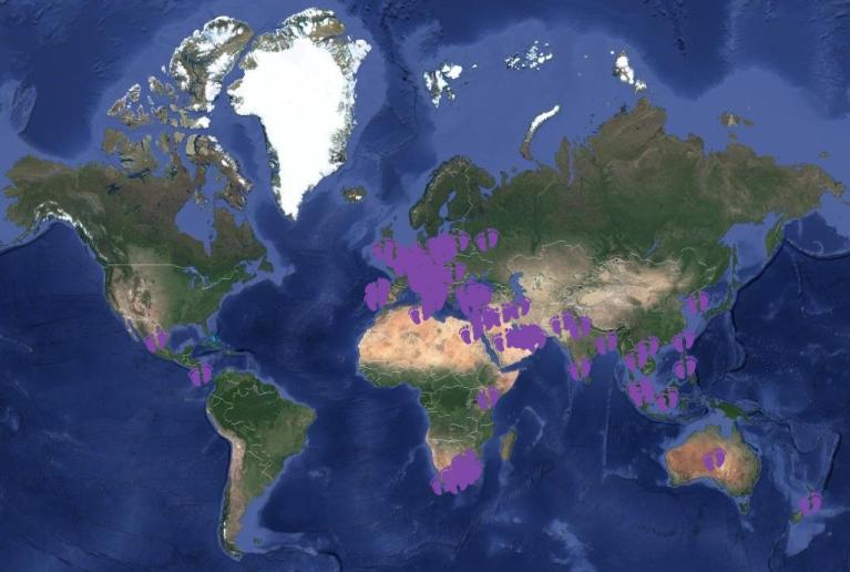 world_prematurity_day_map