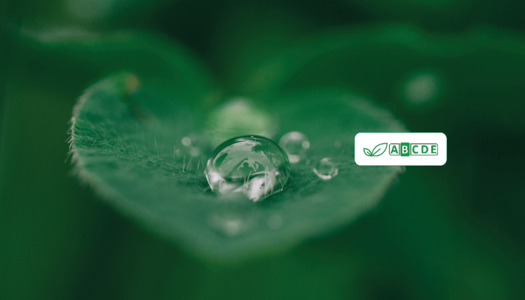 Ecovamed_Vygon 